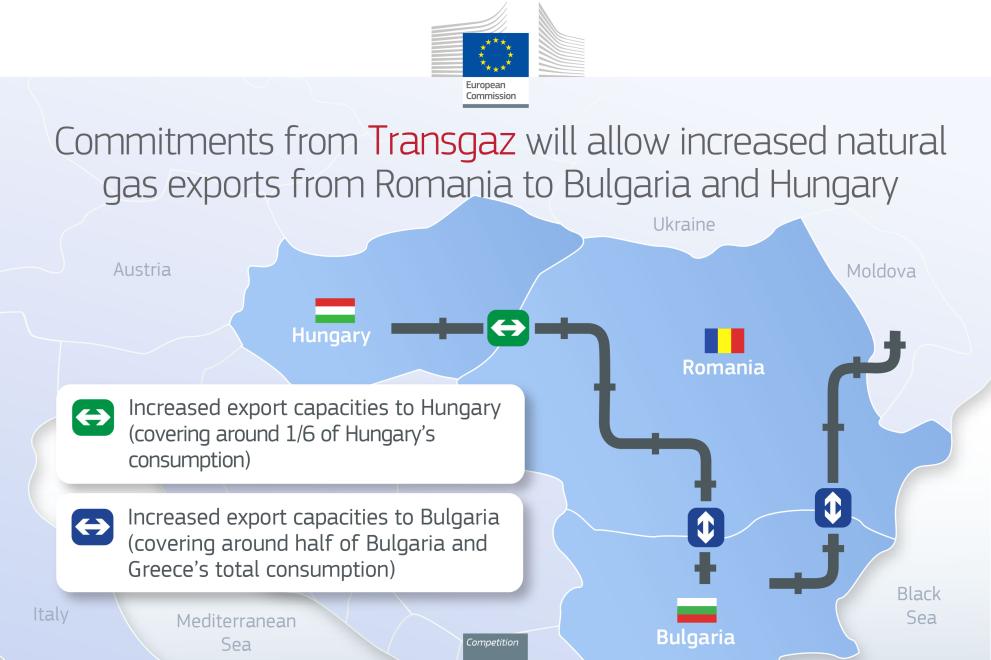 infographic_2020_transgaz_thumb.jpg
