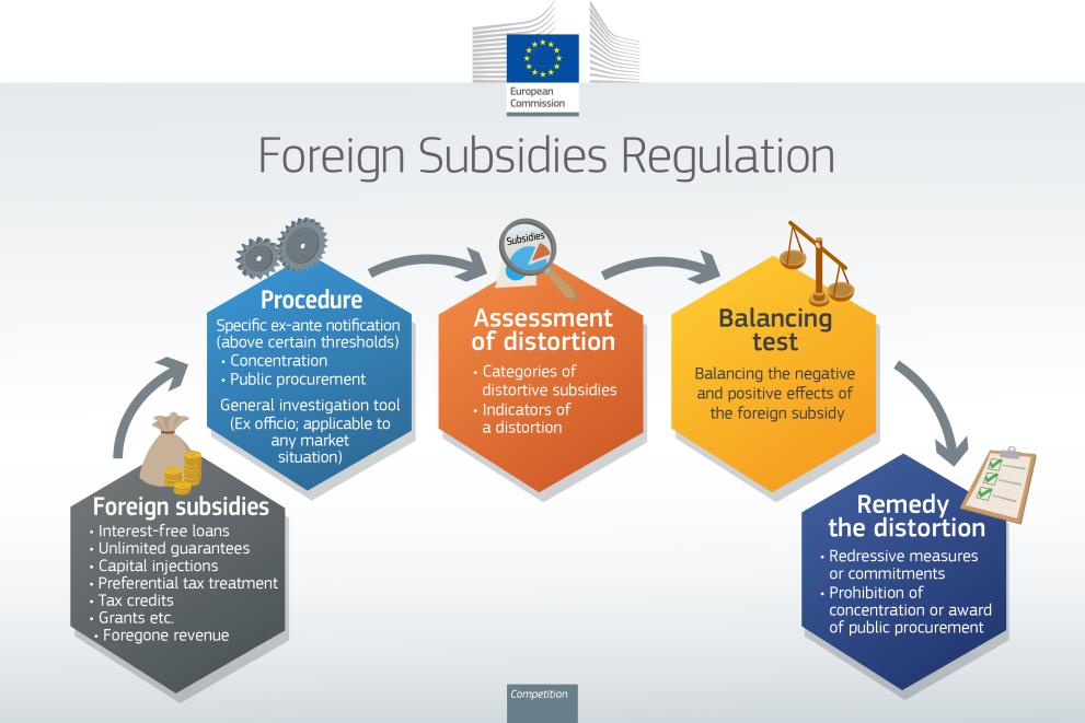 infographic_2023_Foreign_subsidies.jpg