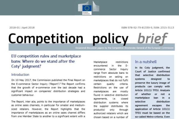 Competition policy brief